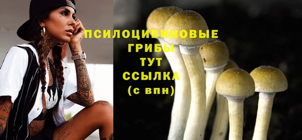амф Переславль-Залесский