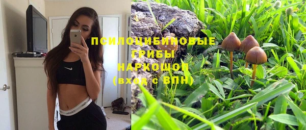 амф Переславль-Залесский