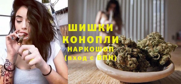 гидропоника Пересвет