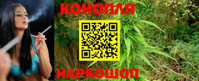 прущие грибы Абакан