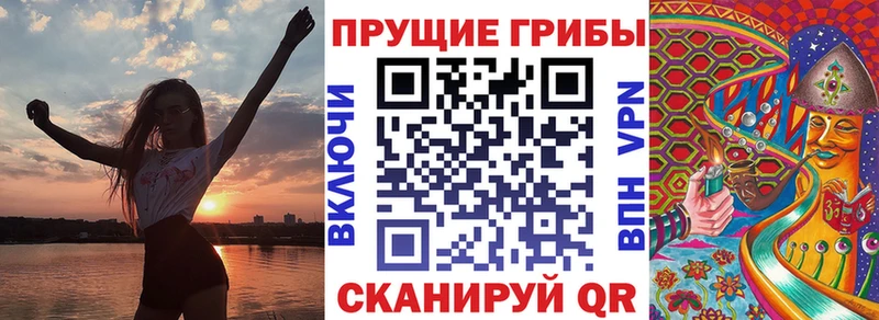 Галлюциногенные грибы Cubensis  купить закладку  Урюпинск 