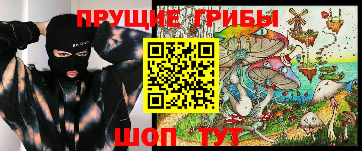 Псилоцибиновые грибы Psilocybine cubensis  Галлюциногенные грибы мухоморы  Урюпинск 