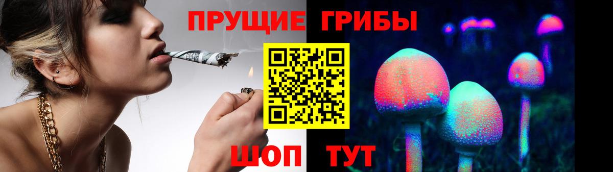 Галлюциногенные грибы Cubensis Урюпинск