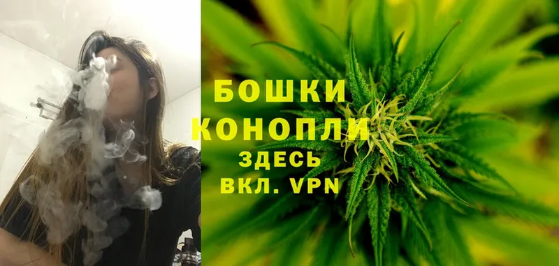 купить наркотик  Урюпинск  Бошки марихуана Amnesia 